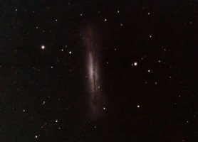 NGC3628 C8f7 ASI294_39frames_624s_DENOISED.jpg NGC3628 C8f7 ASI294_39frames_624s_DENOISED.jpg