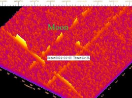 ImageJ-mod-GRAVES-XYVv240408132539.jpg