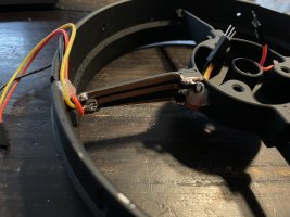 IMG_4337.jpeg