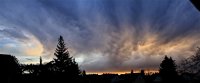 IMG_8773.JPG