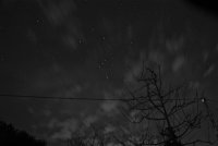 IMG_9098.JPG