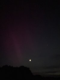 IMG_4084.jpeg