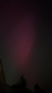 IMG_6604.jpeg