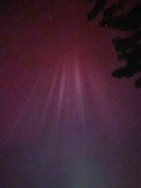 IMG_4377.jpeg