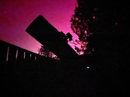 IMG_4327.jpeg