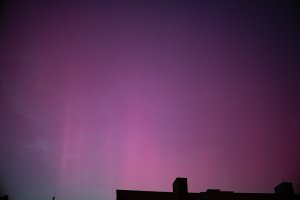 _DSC9118.jpg