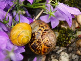 IMG_5323.JPG