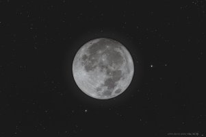 IMG_1309.jpeg