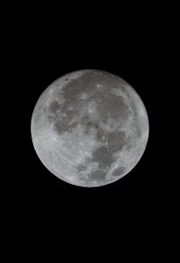 IMG_1308.jpeg