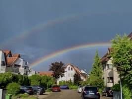 IMG_9775.jpeg