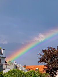 IMG_9779.jpeg
