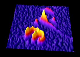 ImageJ-GRAVES-TSVv240606113900.png