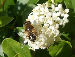 DSCN8708.jpg