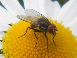 DSCN8833.jpg