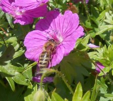 DSCN8915.jpg