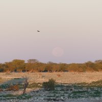 Namibia, April 2024.JPG