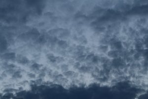 IMG_0101.JPG