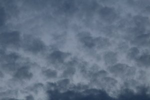 IMG_0103.JPG