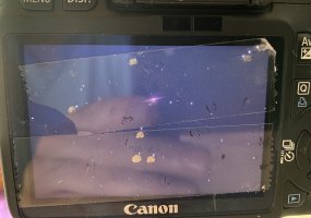 IMG_4443.jpeg