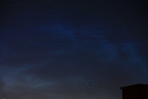 NLC-230624.JPG