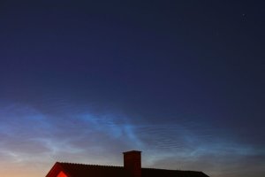 NLC-3.jpg