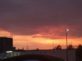IMG_20240627_212932.jpg