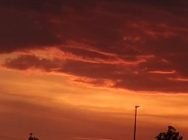 IMG_20240627_212942.jpg