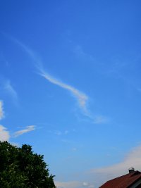 IMG_20240628_140314.jpg