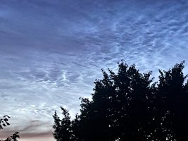IMG_3525.jpeg