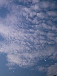 Lights_0039_20240720_002318.jpg