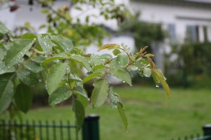 IMG_0107.JPG