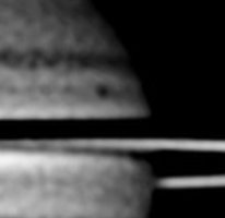 Screenshot_20240731_104104_Gallery.jpg