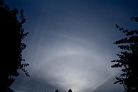 IMG_9368.JPG