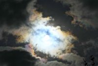 IMG_9498.JPG