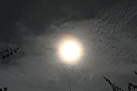 IMG_9608.JPG
