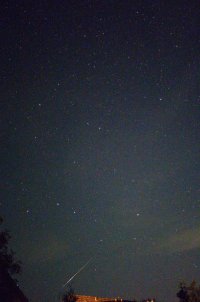 Lights_0031_20240811_012620.jpg