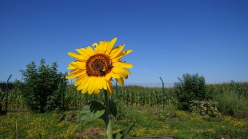 OV-N62-12-August-2024-draussen.jpg