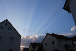 IMG_0072.JPG