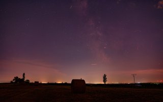 IMG_9672_s.jpg