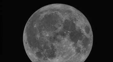 C0010_pipp_Mond_lapl6_ap234.jpg
