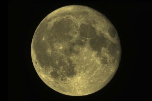 Mond 20.08.24 Serie.jpg