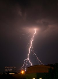 Blitz-Walt.-2.jpg