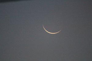IMG_0059.JPG