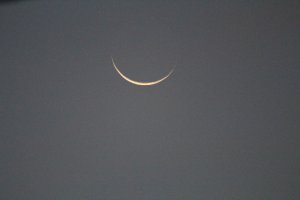 IMG_0056.JPG