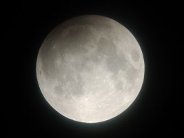 IMG_20240918_035831447_MFNR.jpg