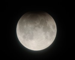 IMG_20240918_041952716_MFNR.jpg