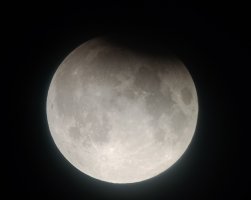 IMG_20240918_044746624_MFNR.jpg