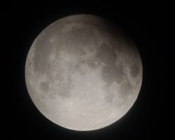 IMG_20240918_051553133_MFNR.jpg