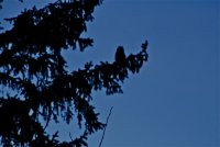 IMG_9922.JPG