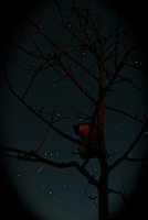 IMG_0041.jpg